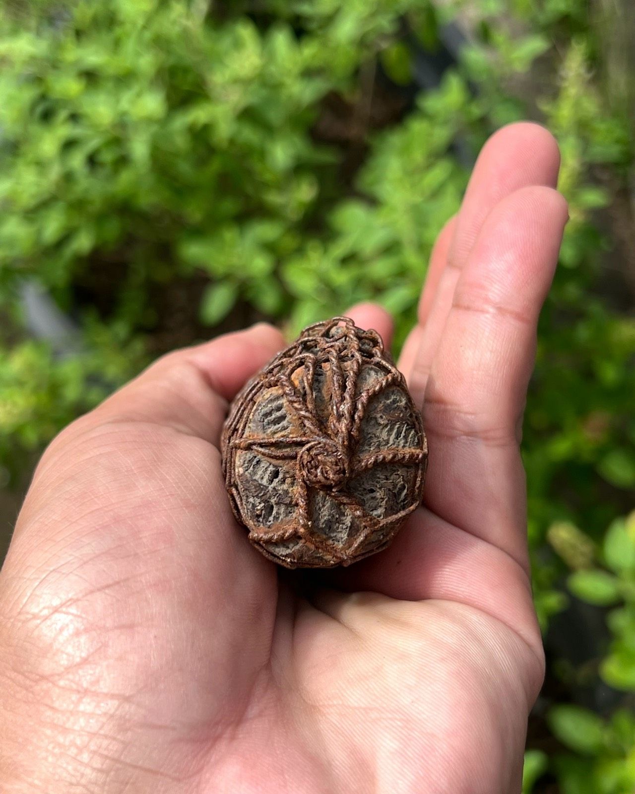 รูปภาพสินค้า