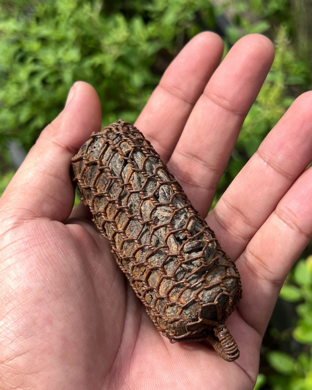 รูปภาพสินค้า