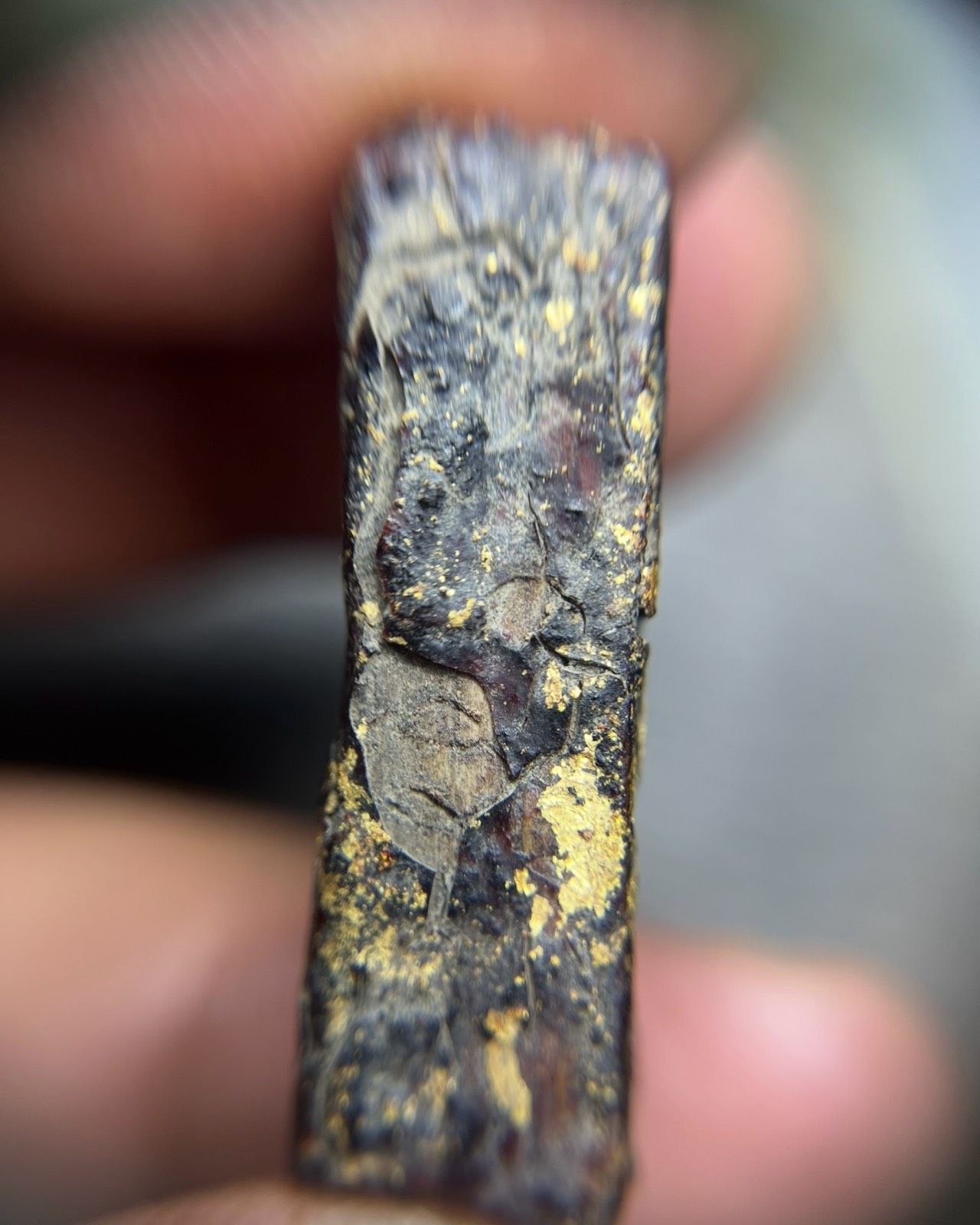 รูปภาพสินค้า