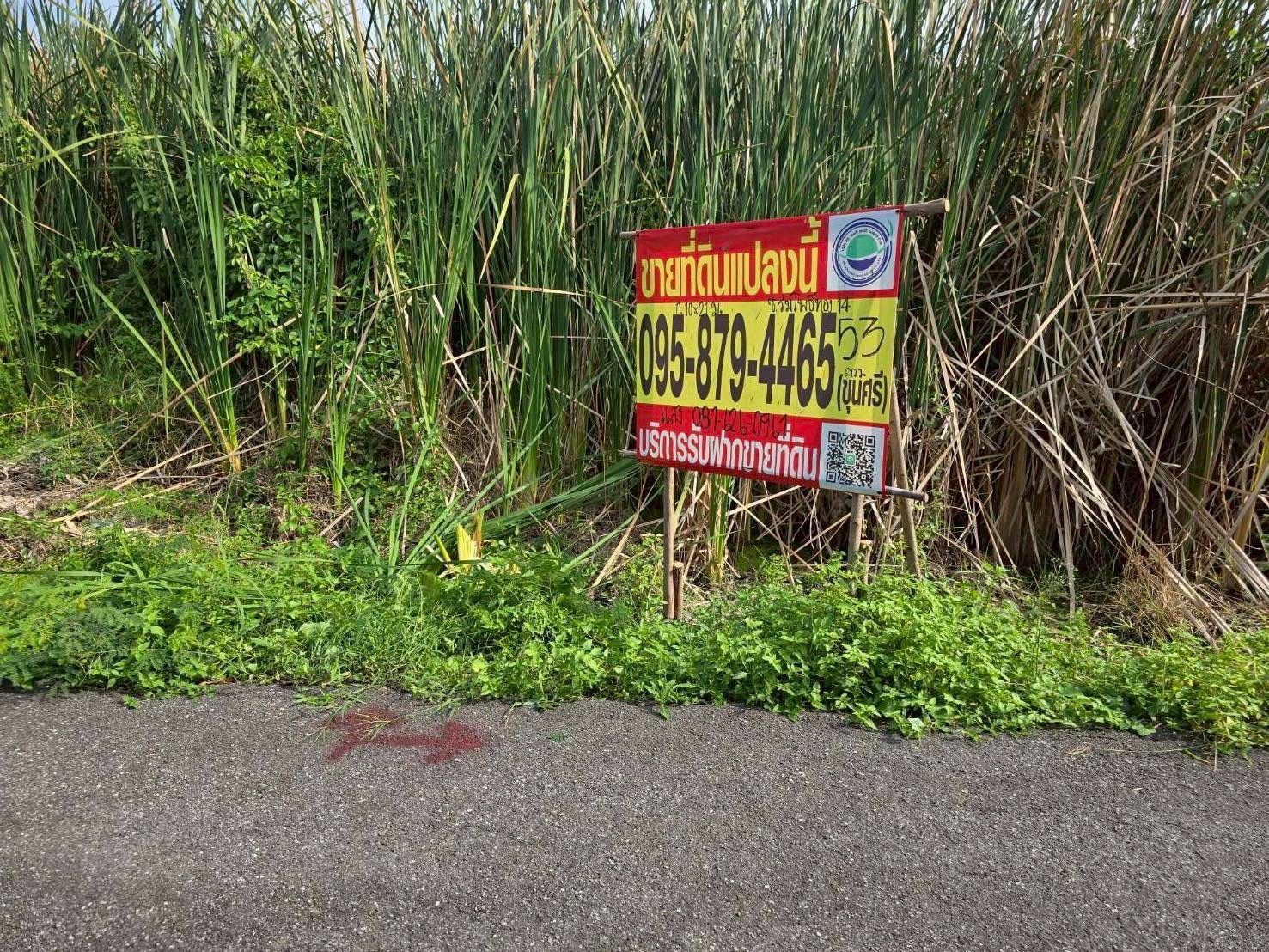 รูปภาพสินค้า