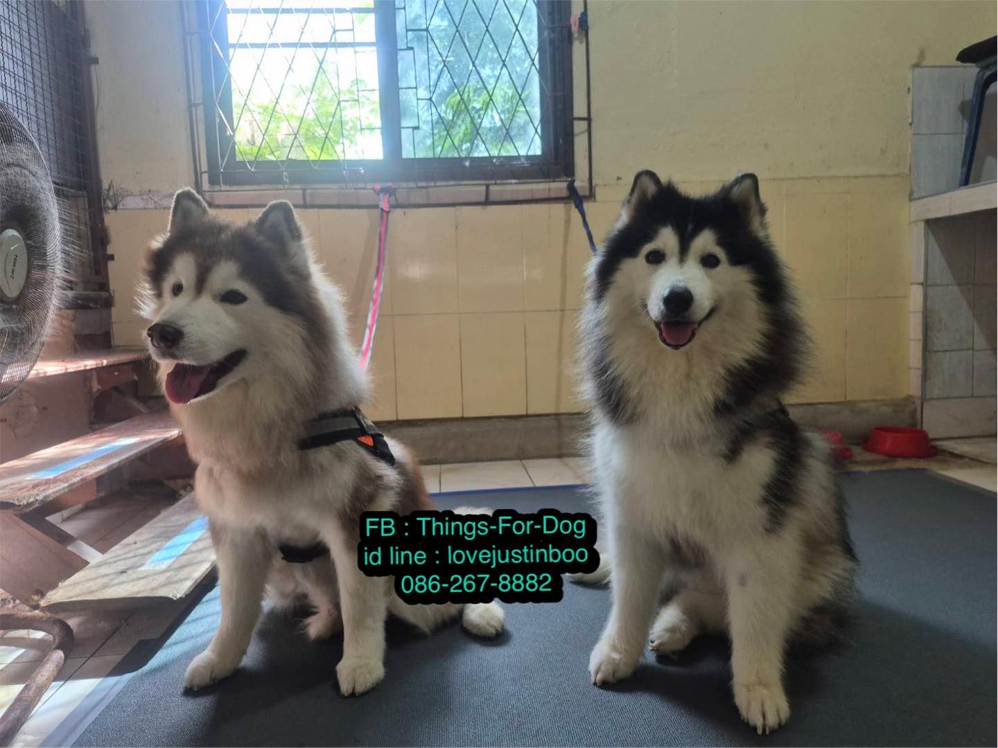 รูปภาพสินค้า