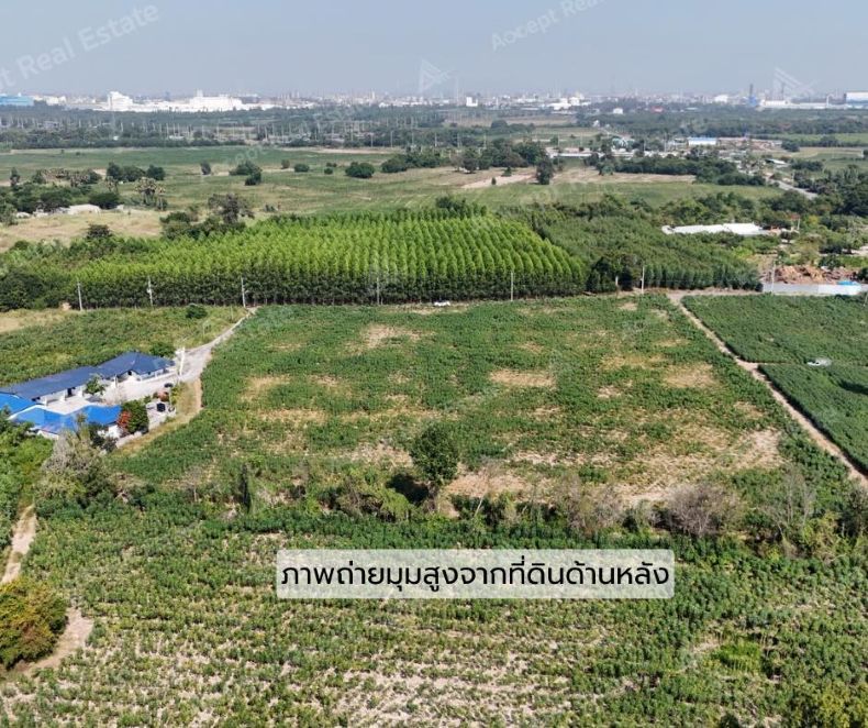 รูปภาพสินค้า