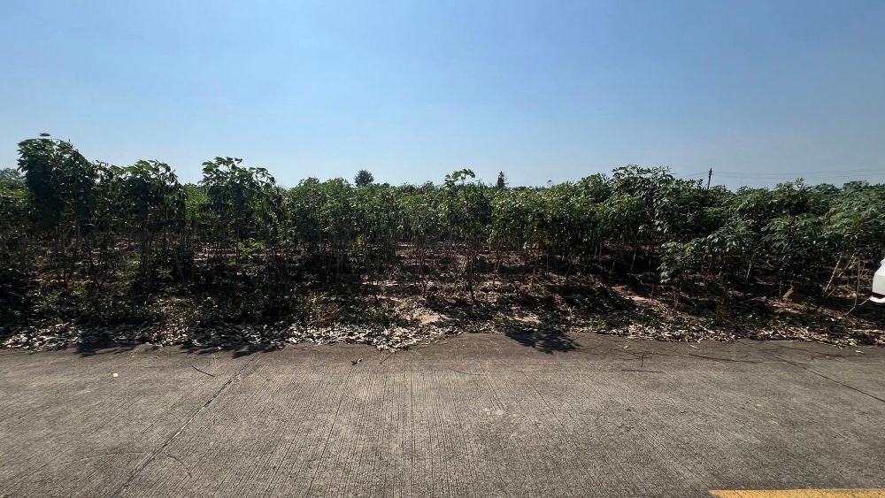 รูปภาพสินค้า