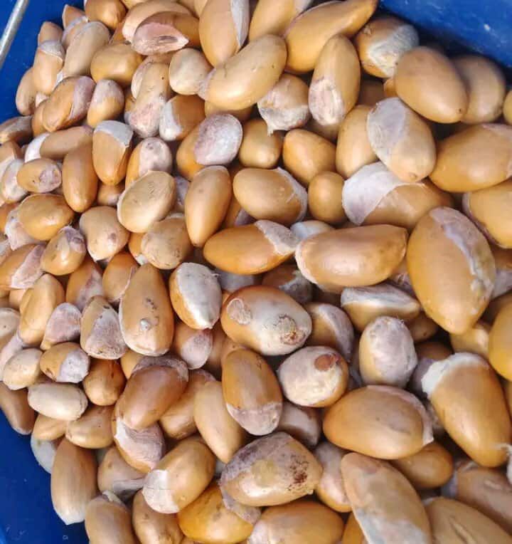 รูปภาพสินค้า