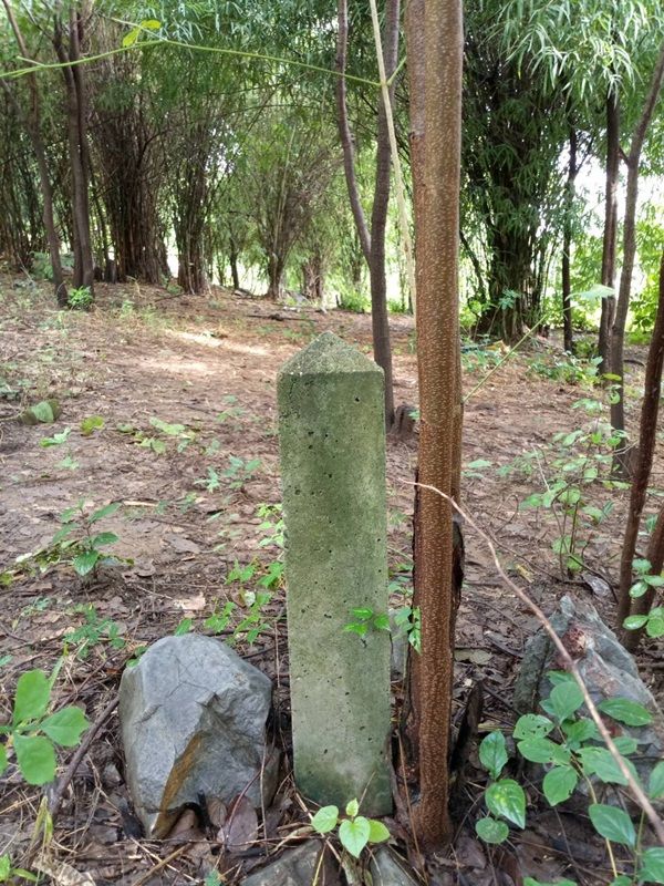 รูปภาพสินค้า