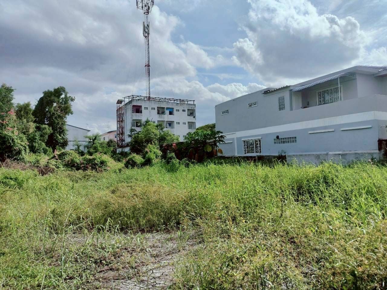 รูปภาพสินค้า