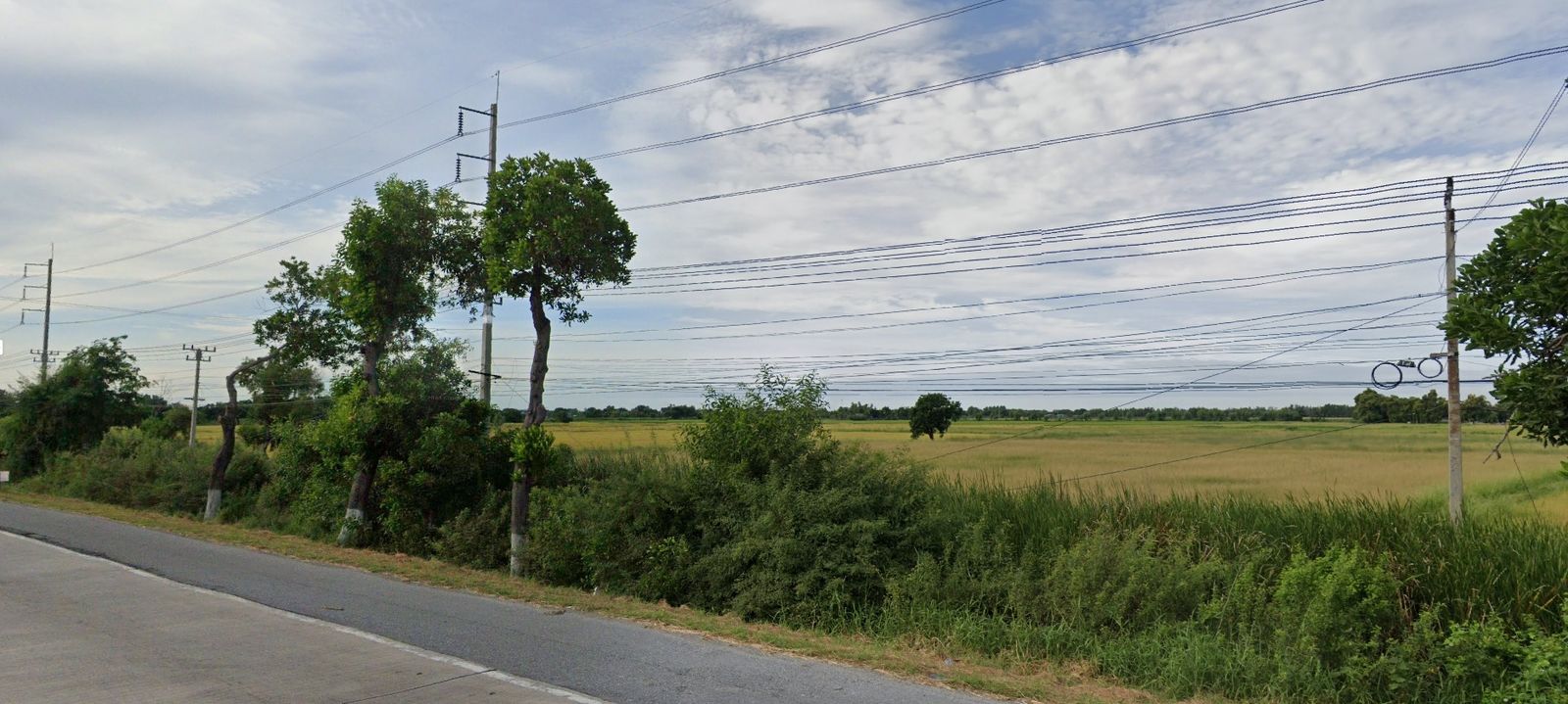 รูปภาพสินค้า