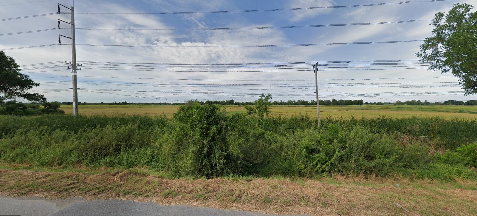 รูปภาพสินค้า