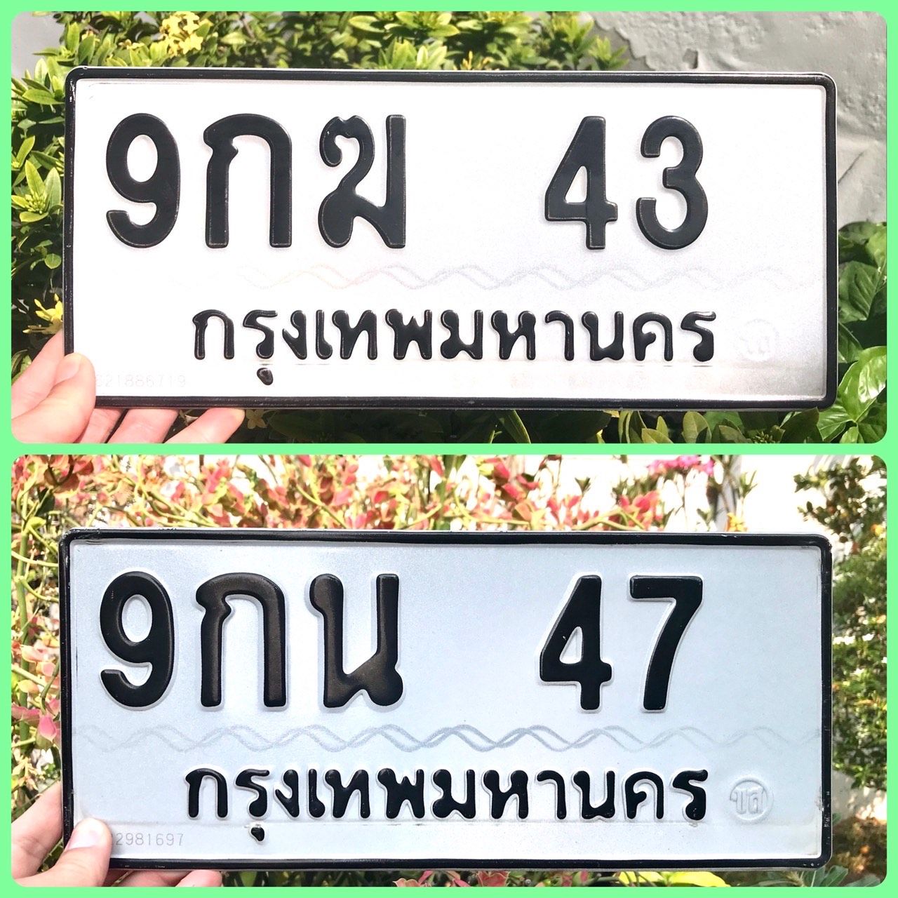 รูปภาพสินค้า