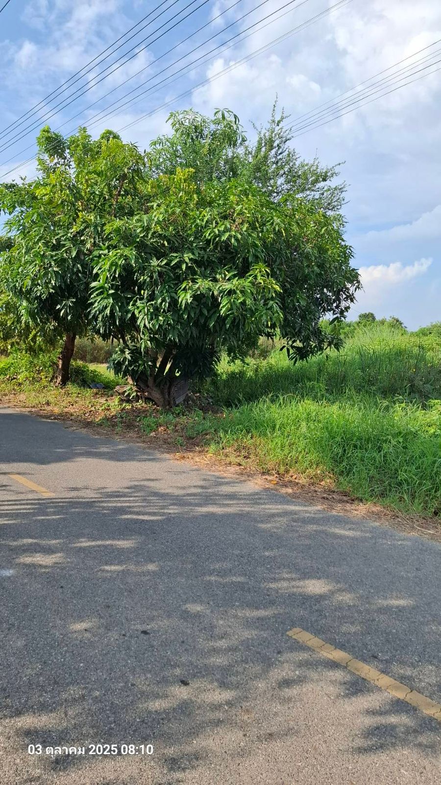 รูปภาพสินค้า