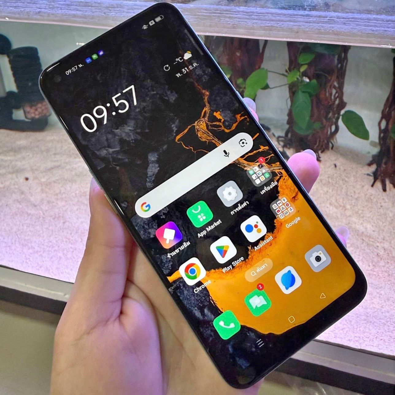 รูปภาพสินค้า