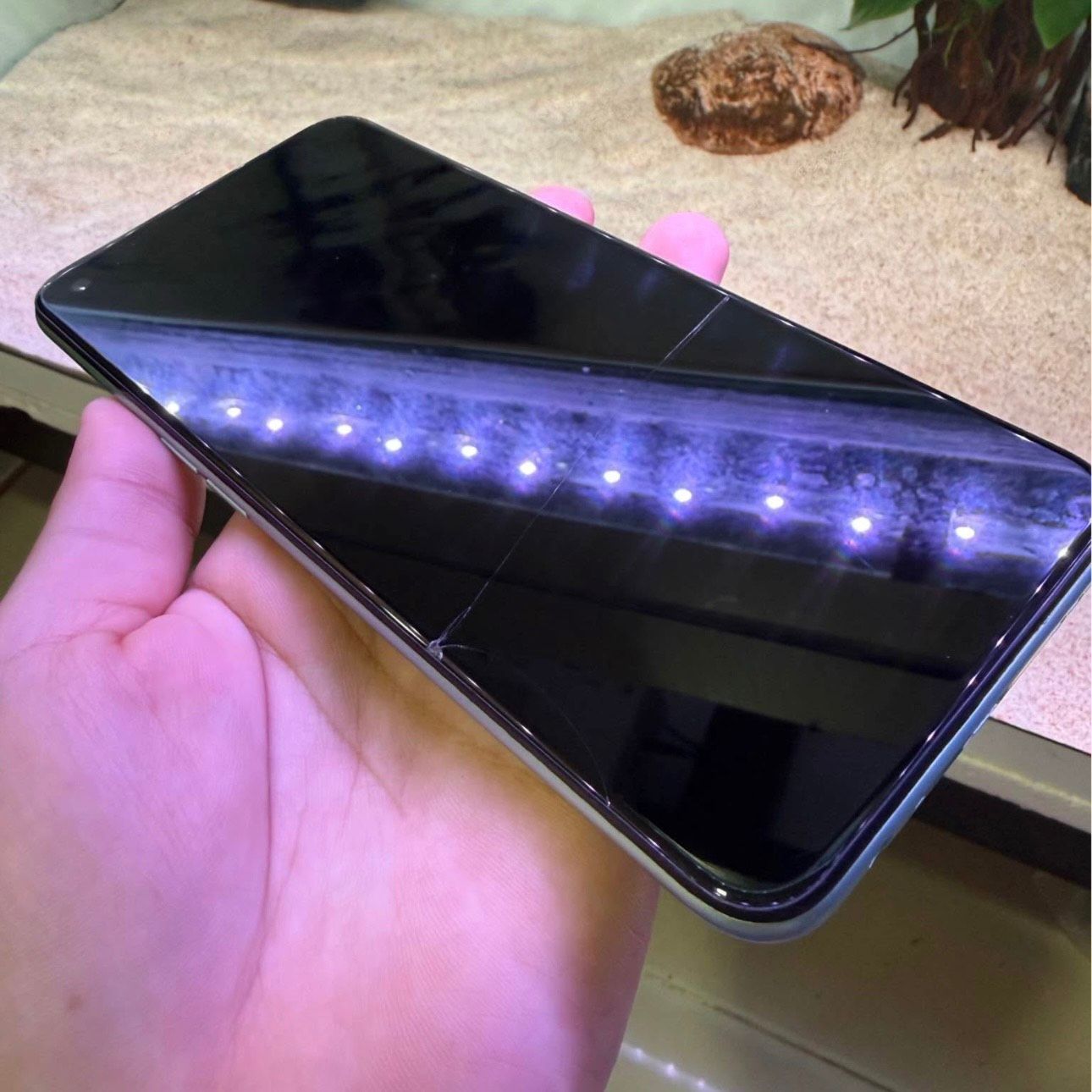 รูปภาพสินค้า