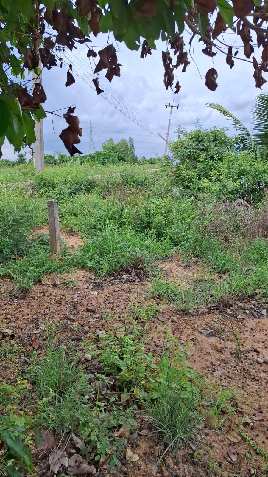 รูปภาพสินค้า