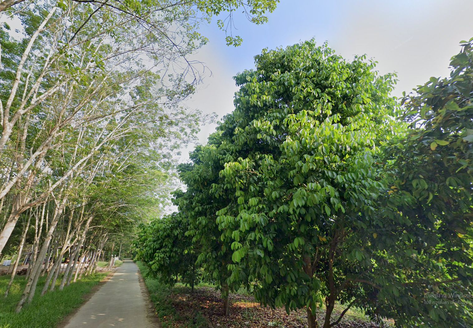 รูปภาพสินค้า