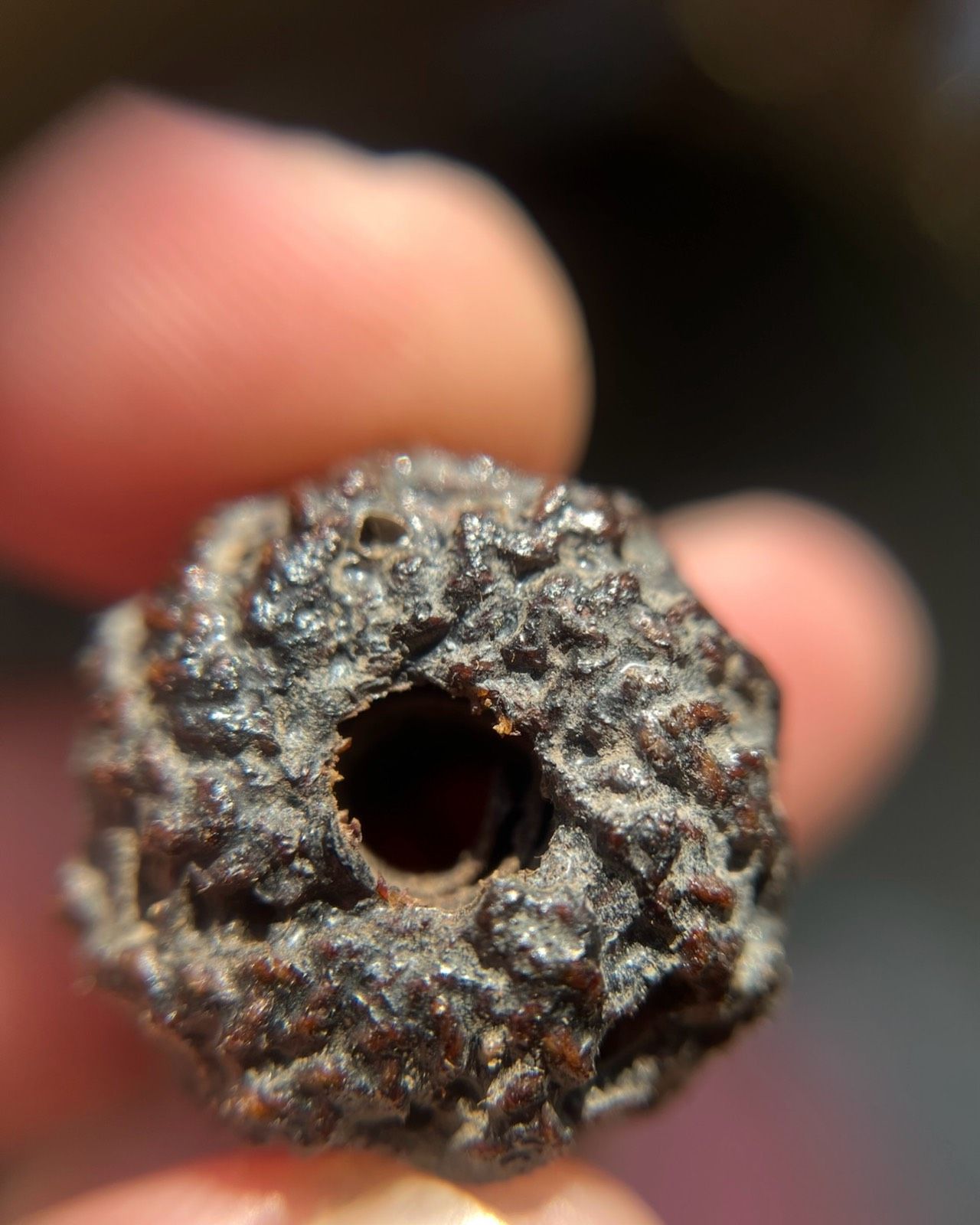 รูปภาพสินค้า