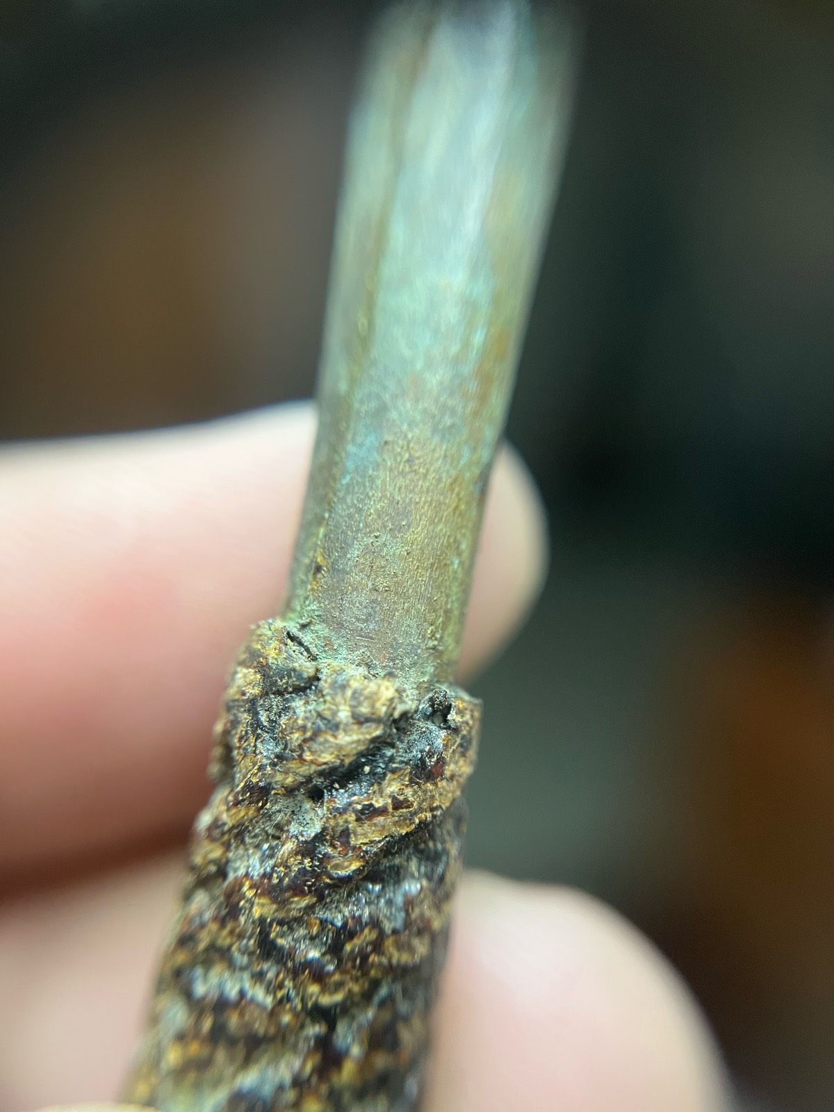 รูปภาพสินค้า