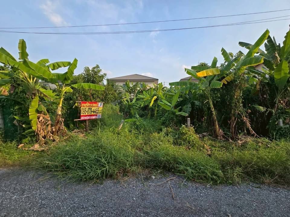 รูปภาพสินค้า