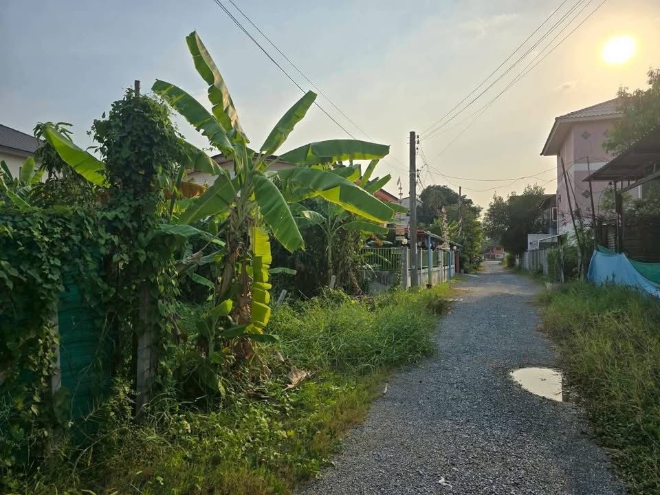 รูปภาพสินค้า