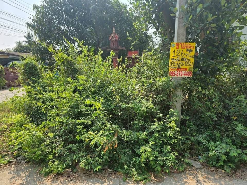 รูปภาพสินค้า