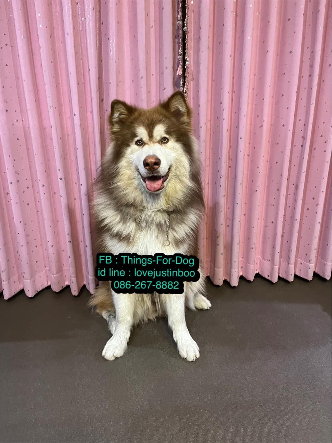 รูปภาพสินค้า