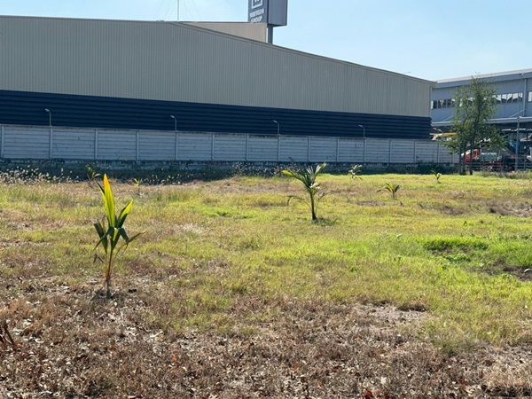 รูปภาพสินค้า