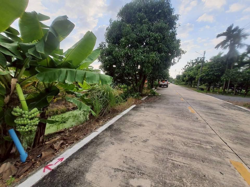 รูปภาพสินค้า