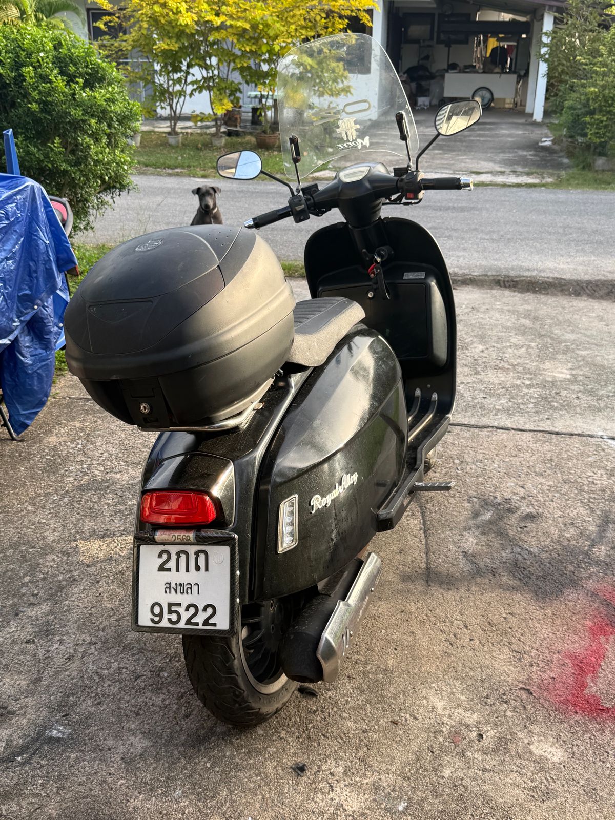 รูปภาพสินค้า