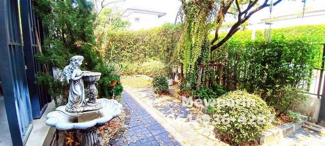 รูปภาพสินค้า