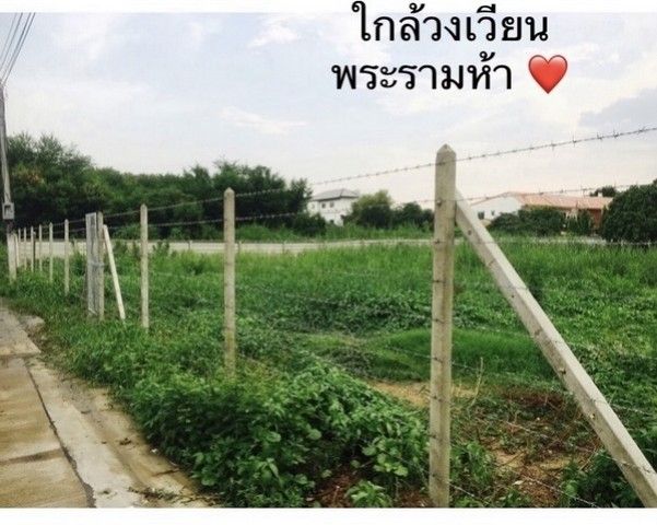 รูปภาพสินค้า