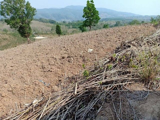 รูปภาพสินค้า