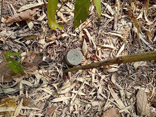 รูปภาพสินค้า