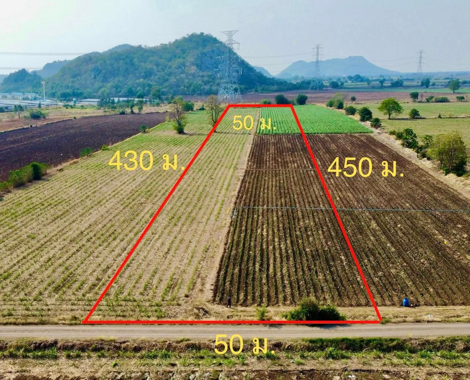 รูปภาพสินค้า