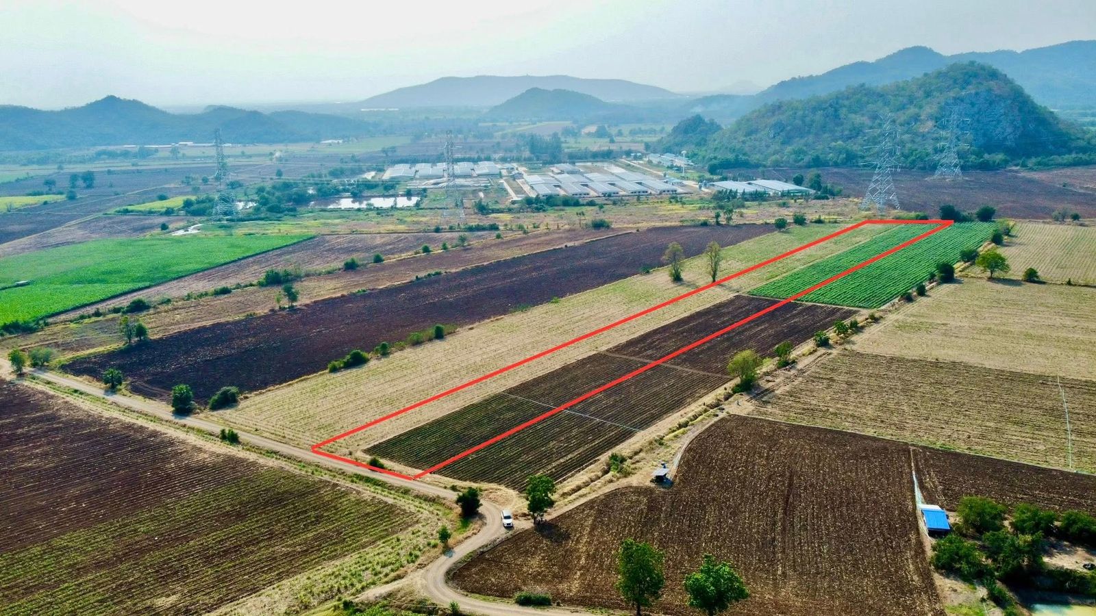 รูปภาพสินค้า