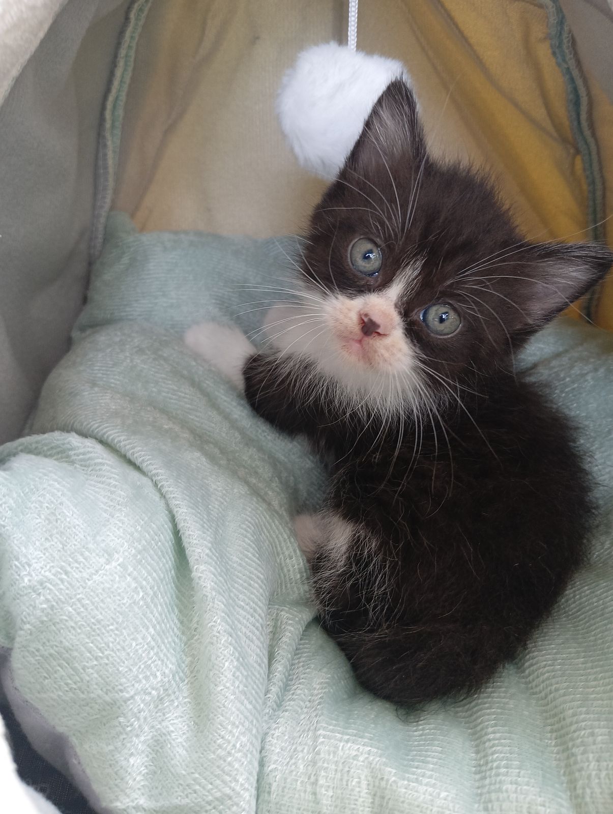 รูปภาพสินค้า