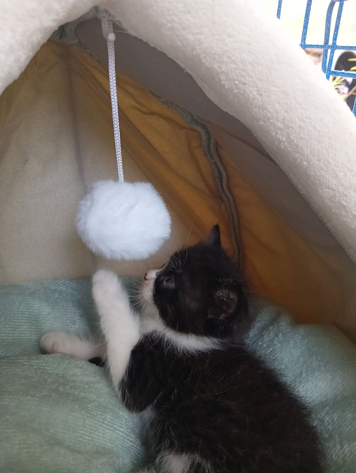 รูปภาพสินค้า