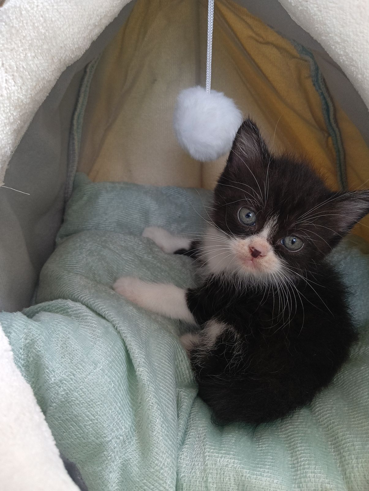 รูปภาพสินค้า