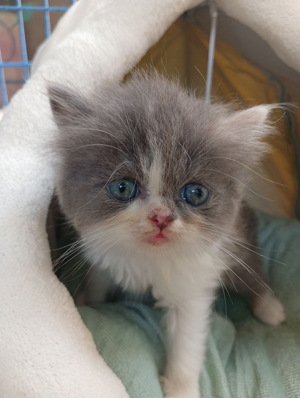 รูปภาพสินค้า