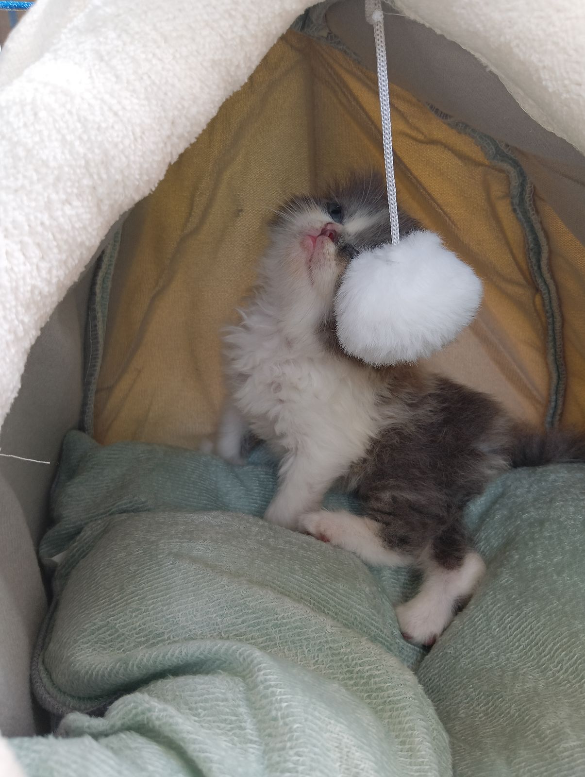 รูปภาพสินค้า