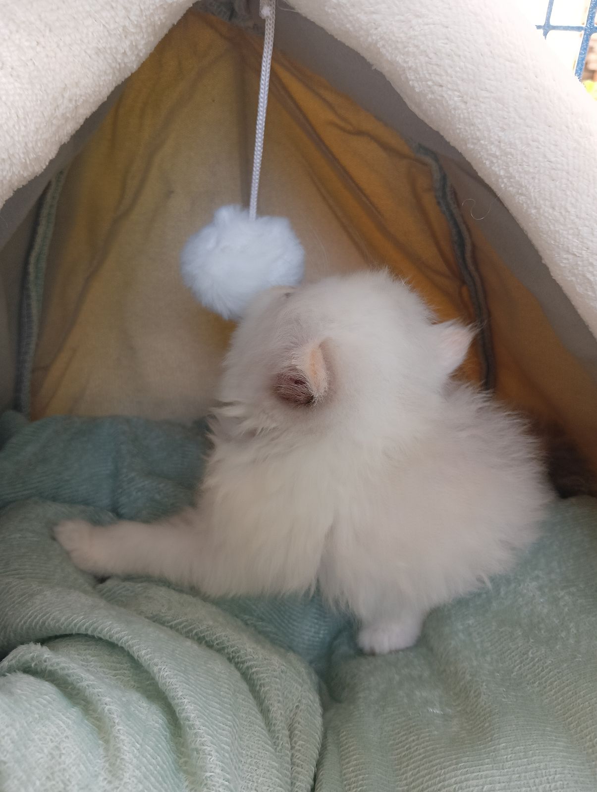 รูปภาพสินค้า