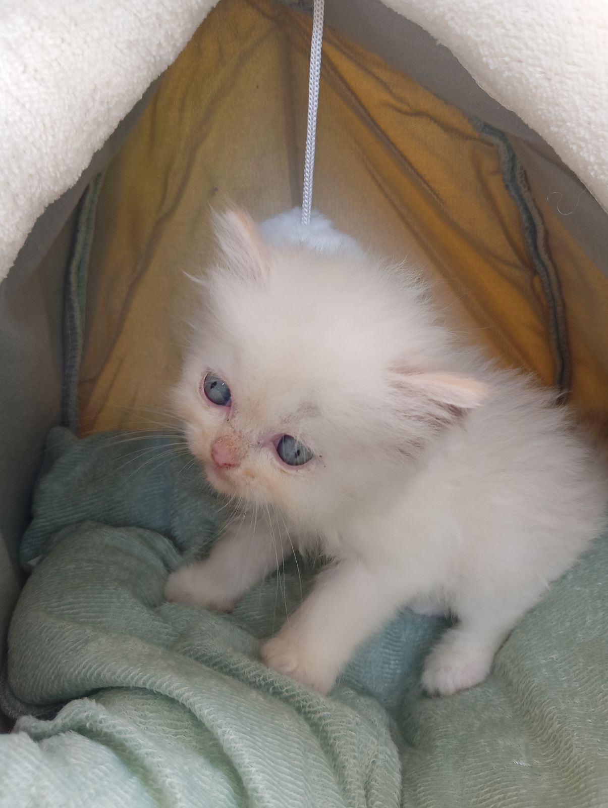 รูปภาพสินค้า