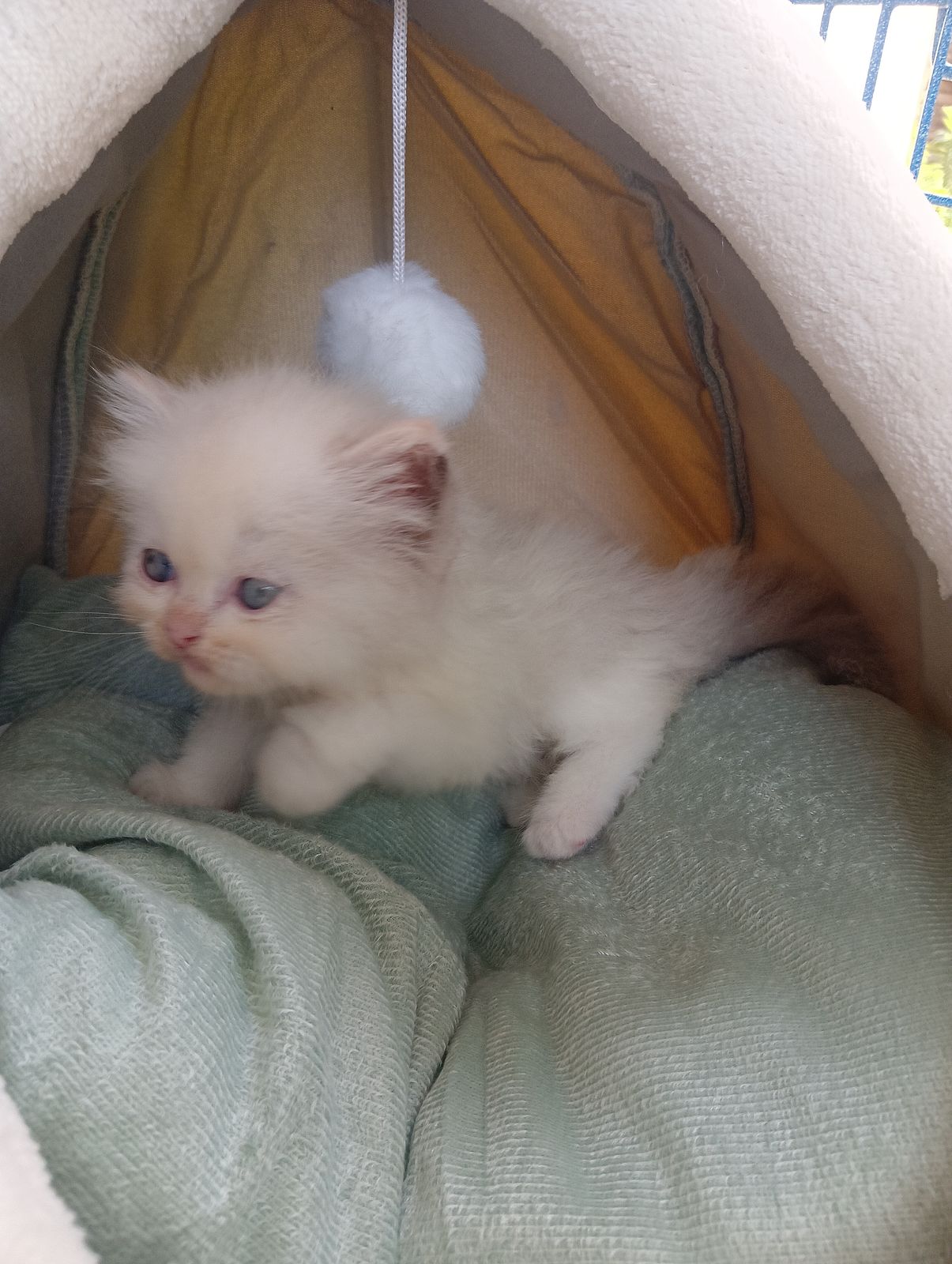 รูปภาพสินค้า