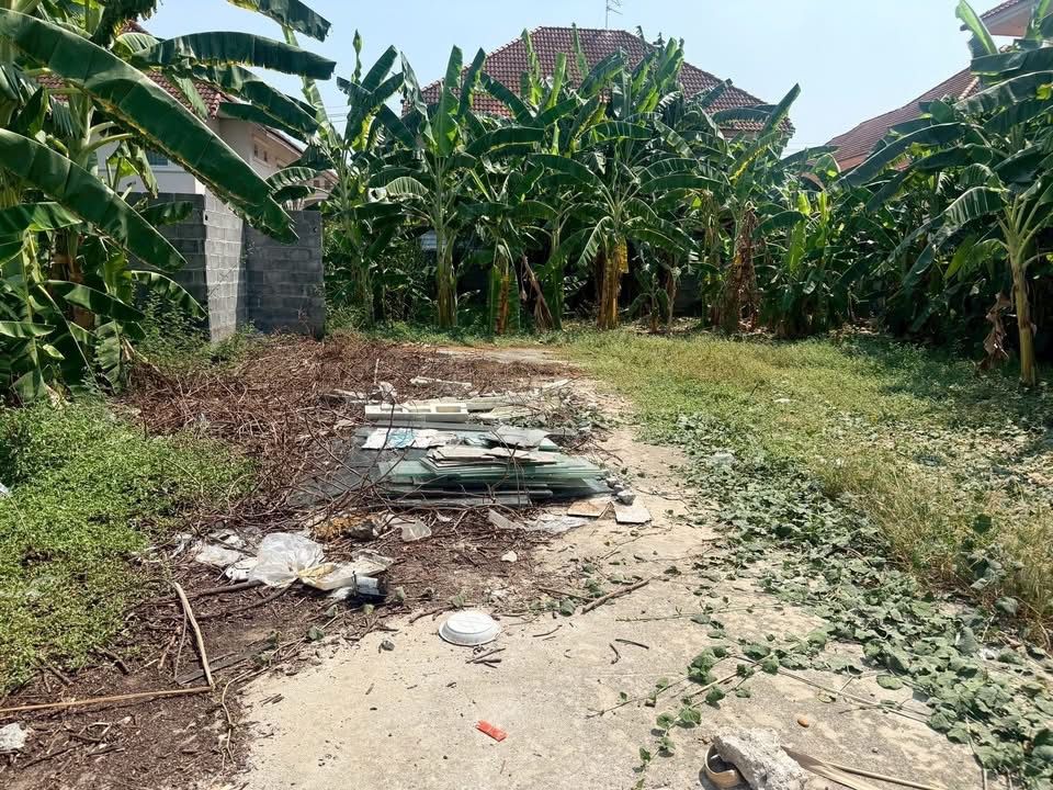 รูปภาพสินค้า