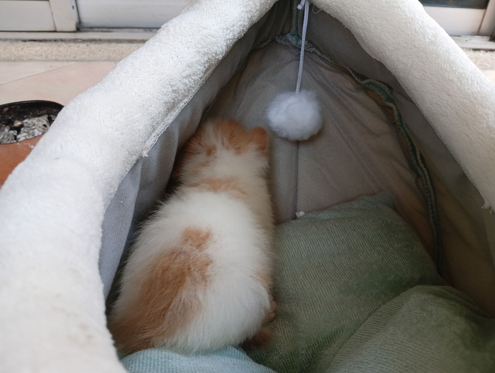 รูปภาพสินค้า