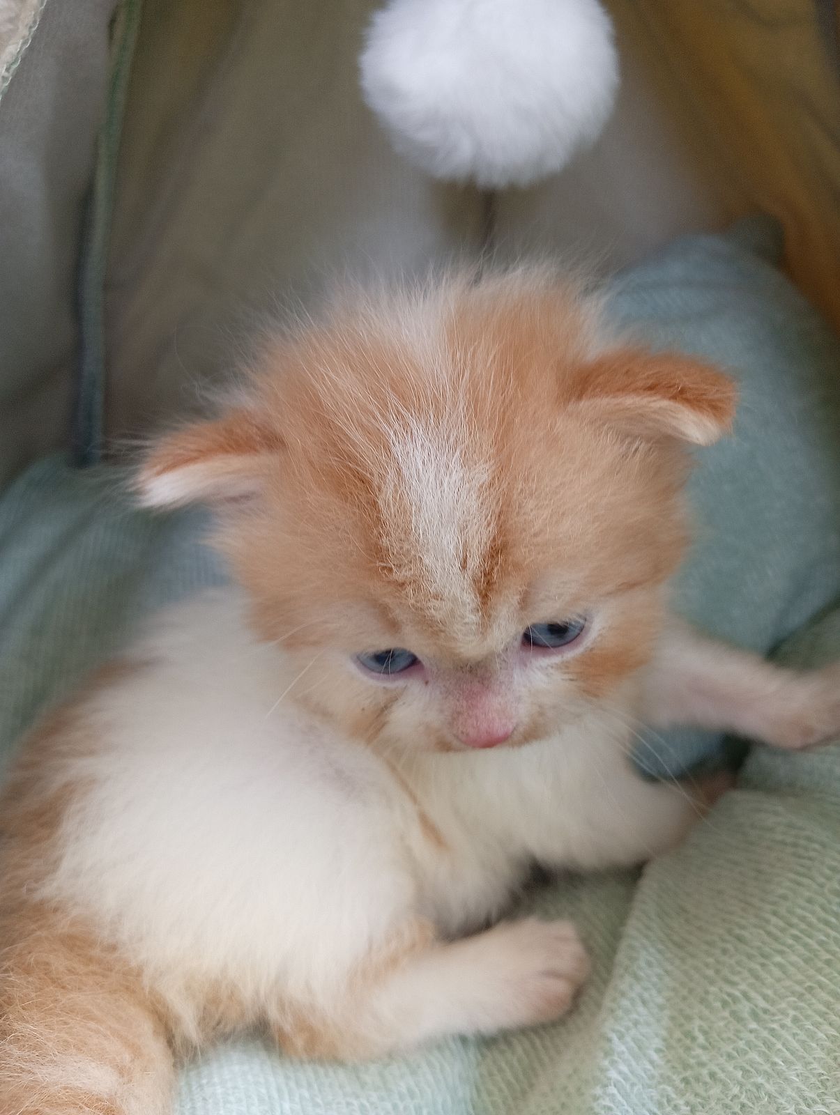 รูปภาพสินค้า