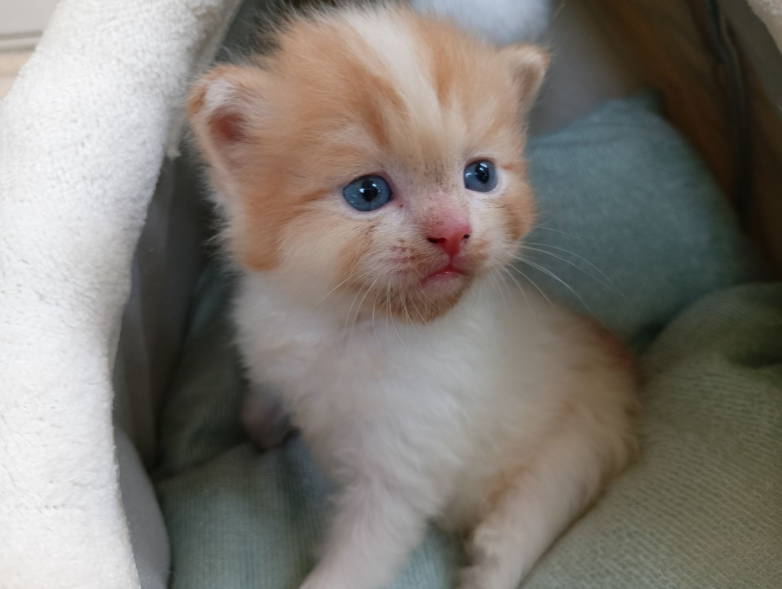 รูปภาพสินค้า