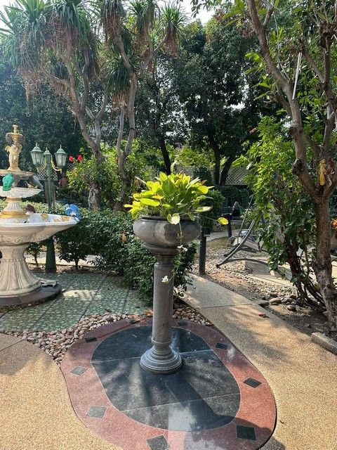 รูปภาพสินค้า