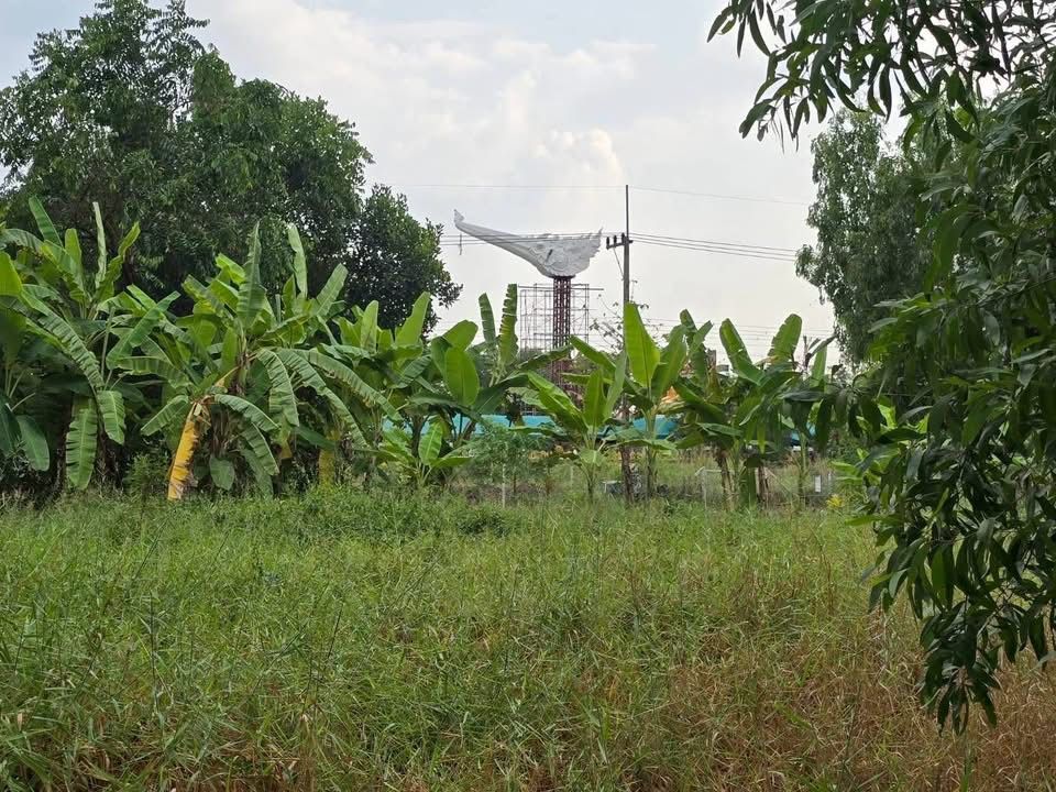 รูปภาพสินค้า