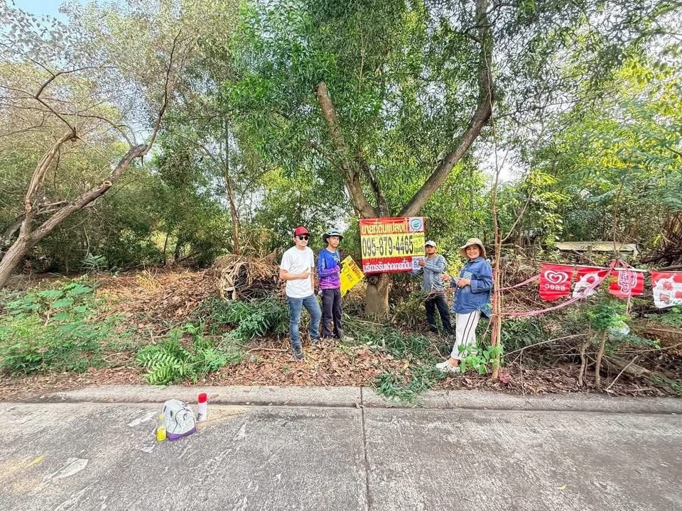 รูปภาพสินค้า