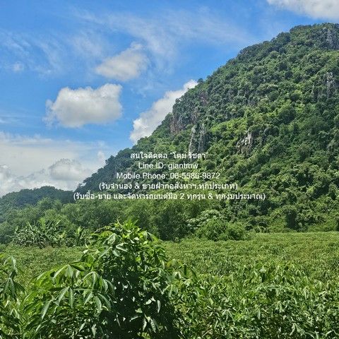 รูปภาพสินค้า