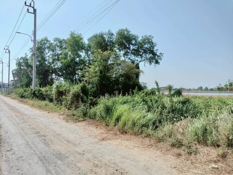 รูปภาพสินค้า